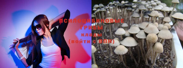 apvp Алексеевка