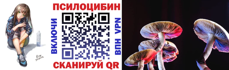 Галлюциногенные грибы Psilocybe  Купить где  Янаул 